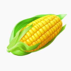 鲜玉米高清图分层图