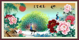 孔雀牡丹图