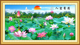 荷花争艳图