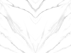 爆款 简奢新爵士白 TIF合层