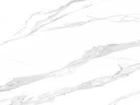 豪华 中式新鱼肚白 TiF合层