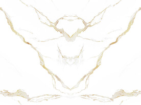 现代 中式新鱼肚白 TiF合层