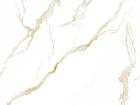 人气 中式新鱼肚白 TiF合层