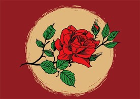 玫瑰花古风插画