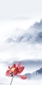 爆款 意境清晰玄关 TIf分层