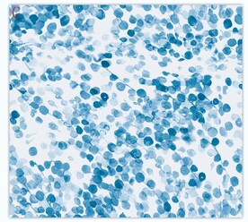 蓝色 水藻 数码印花