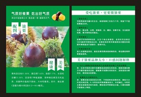 锥栗