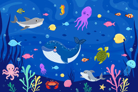 海洋系列