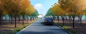 乡村道路绿化效果图