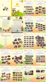 幼儿园宣传画册