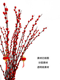 红色银柳透明素材 白色背景已抠