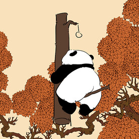 熊猫插画