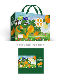 金桔包装