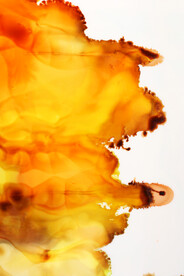 黄色流体渐变科技线条背景