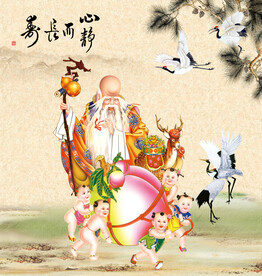老寿星