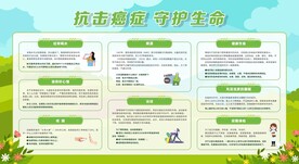 世界癌症日宣传栏展板