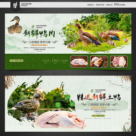 鸭肉