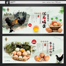 鸡蛋