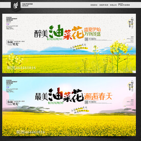 油菜花