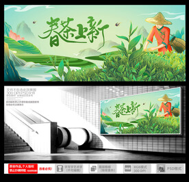 春茶上市
