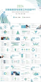 淡雅唯美羽毛背景工作总结PPT