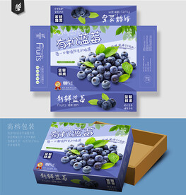 蓝莓包装