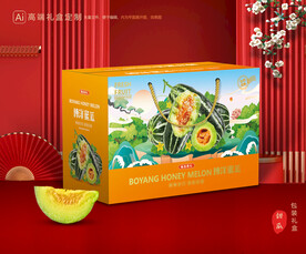 甜瓜礼盒 博洋蜜瓜包装