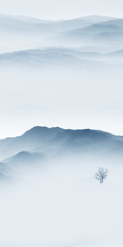 高雅 新山水画玄关 TiF分层