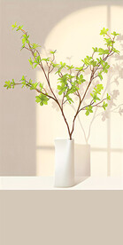 玄关绿植装饰画