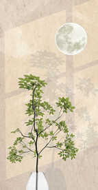 玄关绿植装饰画