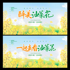 油菜花