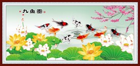 荷花九鱼图