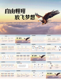 自由飞翔放飞梦想企业文化PPT