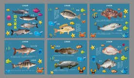 卡通海洋鱼类介绍