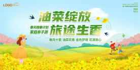 油菜花