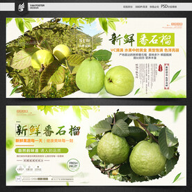 番石榴