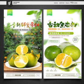 皇帝柑
