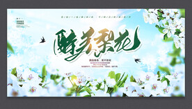 梨花节