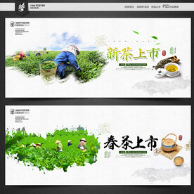 新茶上市