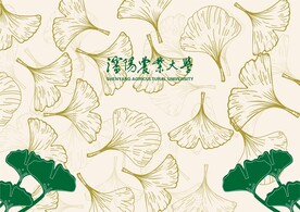 绿色枫叶背景插画