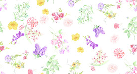 无缝   乱花 手绘花    