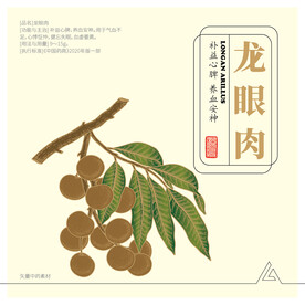 龙眼肉 桂圆 矢量素材