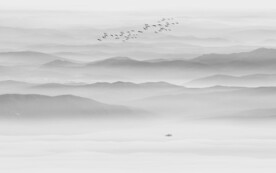 水墨山水背景壁画