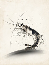 仿中国画水墨虾免抠元素