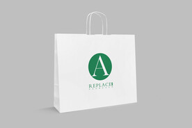 大号手提袋样机