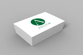 炸鸡打包盒样机