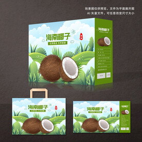 椰子包装