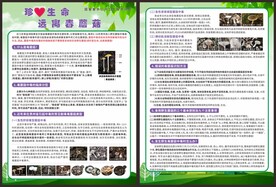 珍爱生命远离毒蘑菇