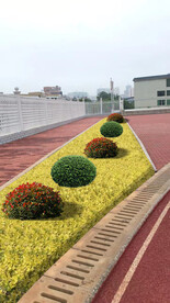 绿化改造设计效果图