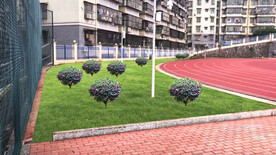 茶梅改造设计效果图